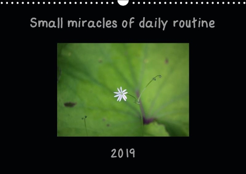 Small miracles of daily routine 2019