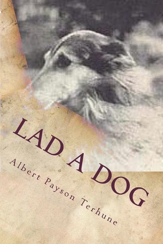 Lad A Dog