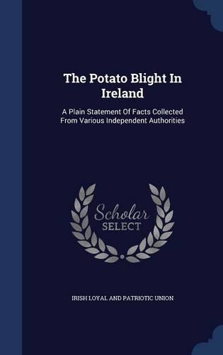 The Potato Blight In Ireland