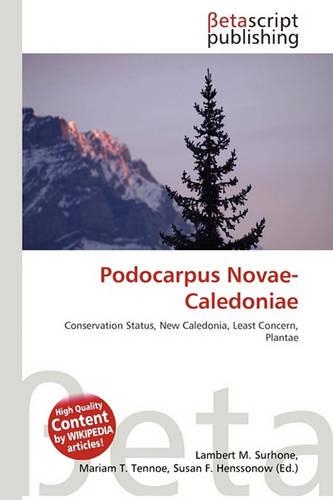 Podocarpus Novae-Caledoniae