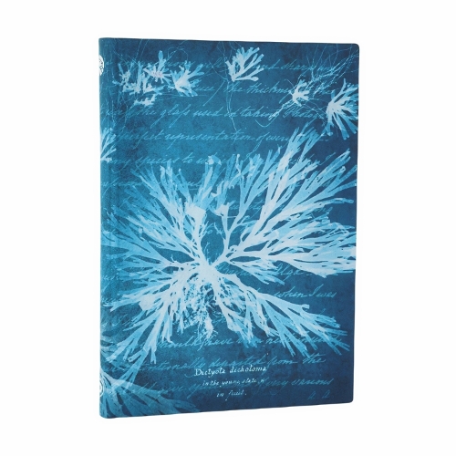 Sea Flowers (Anna Atkins’ Cyanotypes) Midi Lined Softcover Flexi Journal (Elastic Band Closure)