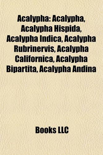 Acalypha