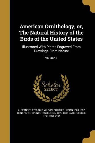 American Ornithology, or, The Natural History of the Birds of the United States