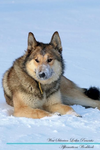West Siberian Laika Affirmations Workbook West Siberian Laika Presents