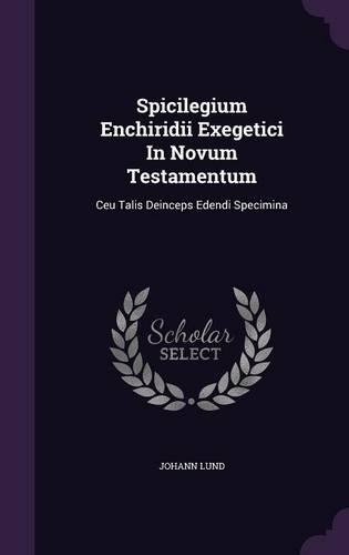 Spicilegium Enchiridii Exegetici In Novum Testamentum: Ceu Talis Deinceps Edendi Specimina