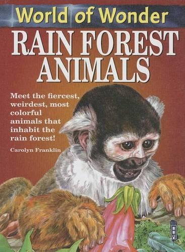 Rain Forest Animals