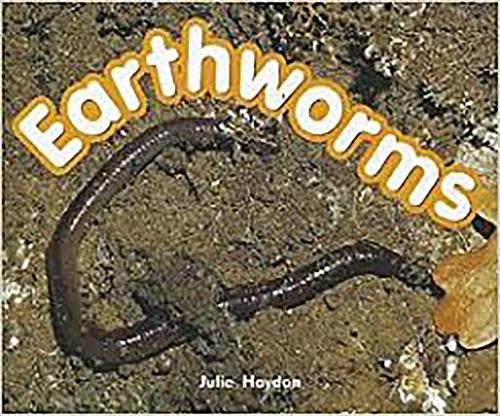 Rigby Focus Early Fluency: Leveled Reader Bookroom Package Nonfiction (Levels I-N) Earthworms