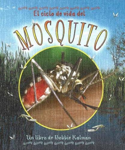 El Ciclo de Vida del Mosquito