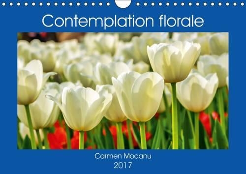 Contemplation Florale 2017