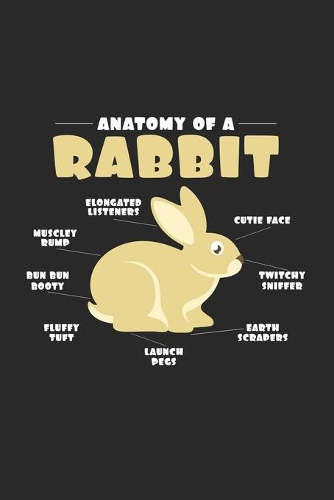 Anatomy of a rabbit