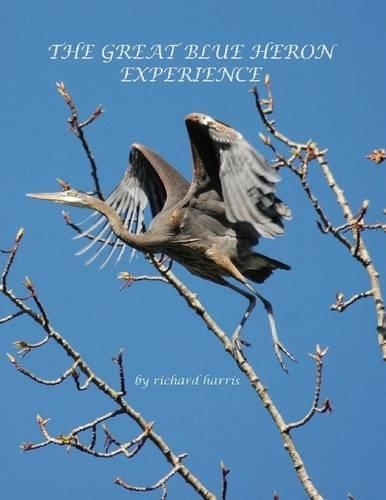 The Great Blue Heron Experience