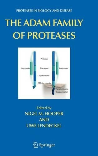 The Adam Family of Proteases