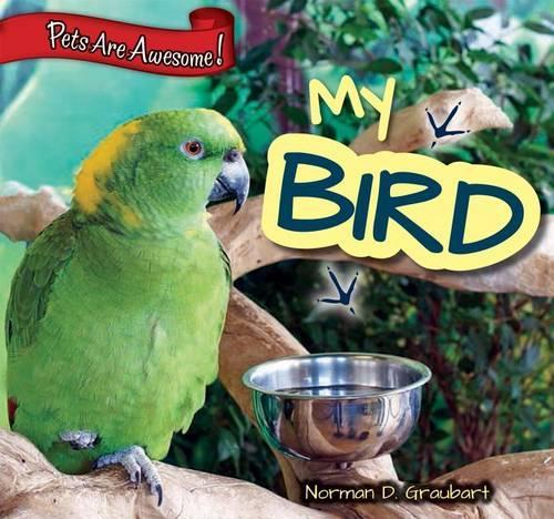 My Bird: (6 Pets Are Awesome!)