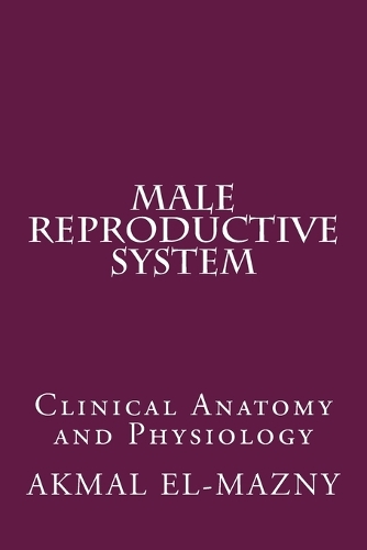 Male Reproductive System