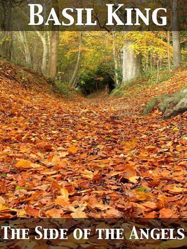 The Side of the Angels a Novel