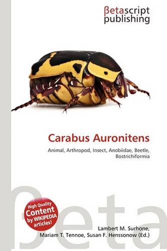Carabus Auronitens