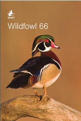 Wildfowl 66