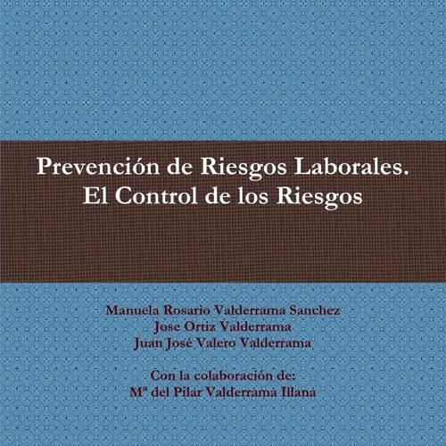 Prevencion De Riesgos Laborales. El Control De Los Riesgos