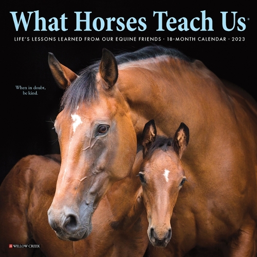 What Horses Teach Us 2023 Mini Wall Calendar