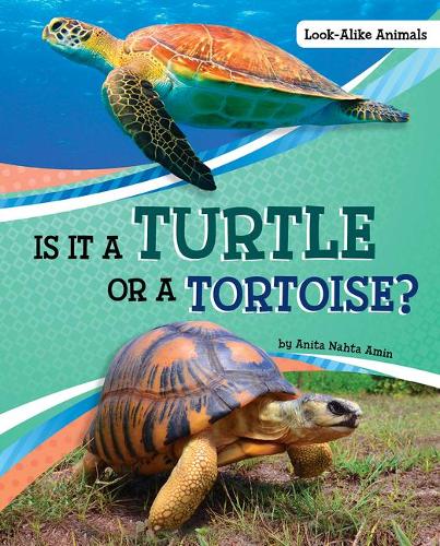 Is it a Turtle or a Tortoise