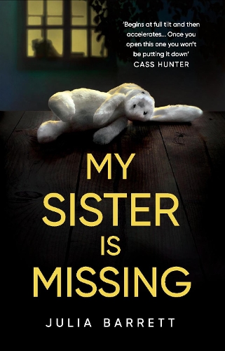 My Sister is Missing
