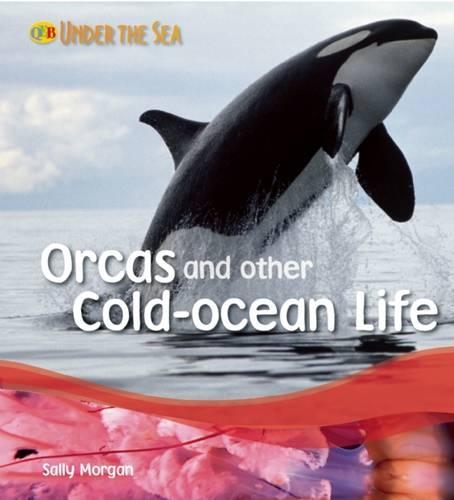 Orcas and Other Cold-Ocean Life