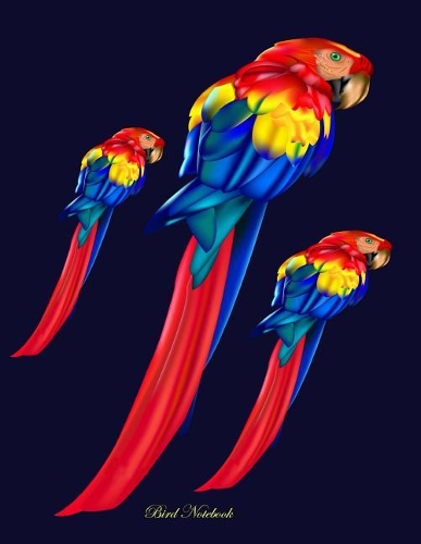 Bird Notebook