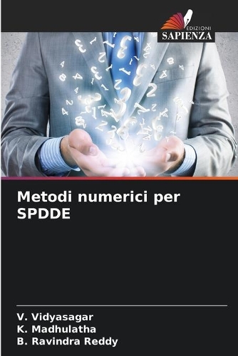 Metodi numerici per SPDDE