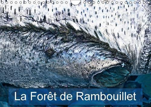 La Foret De Rambouillet 2017