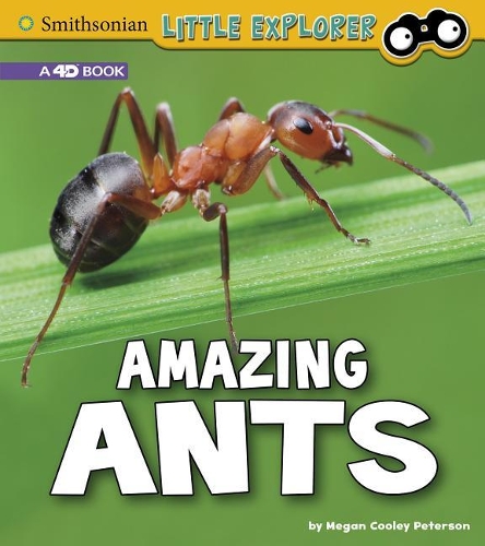 Little Entomologist 4D Amazing Ants a 4D Book
