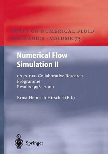 Numerical Flow Simulation II