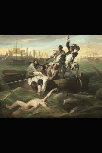 My Travel Adventures