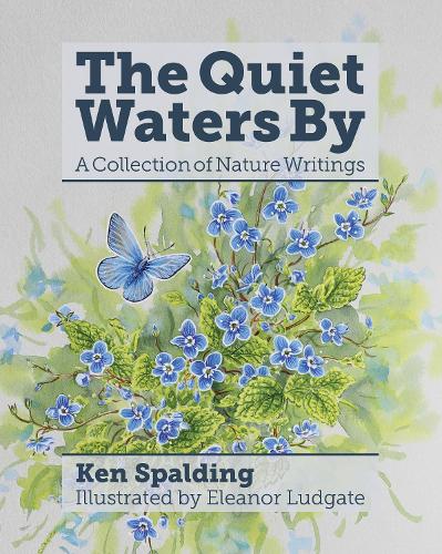 The Quiet Waters By