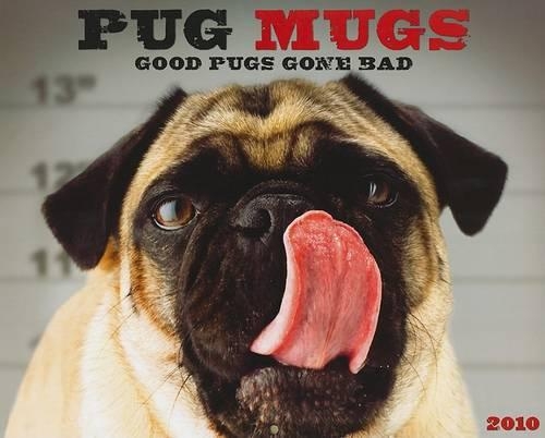 Pug Mugs: Good Pugs Gone Bad