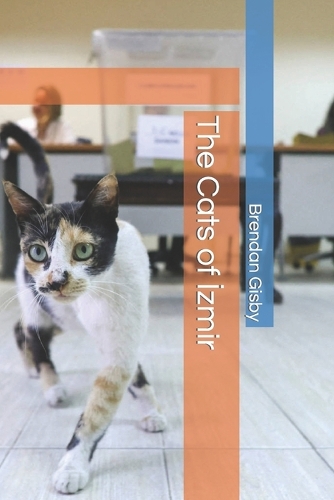 The Cats of &#304;zmir