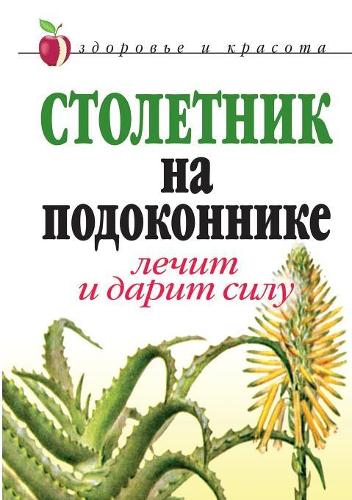 Agave on the windowsill