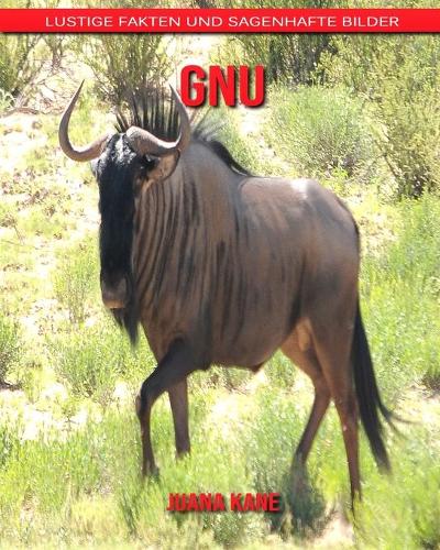 Gnu: Lustige Fakten und sagenhafte Bilder