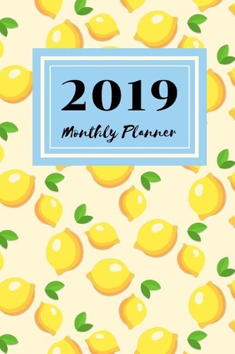 Monthly Planner 2019: Monthly Journal Calendar January 2019 Through December 2019, 6 X 9 Smart Book