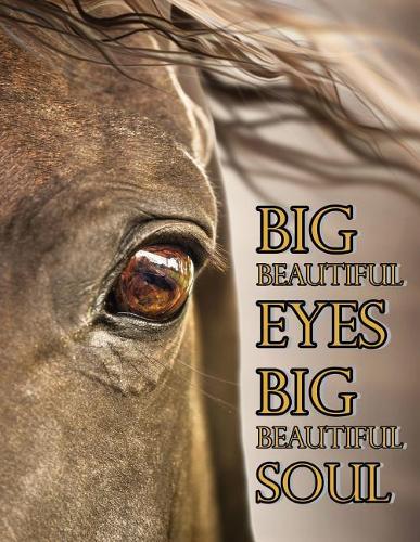 Big Beautiful Eyes Big Beautiful Soul: Journal, Diary, Notebook, Daily Planner, 365 Lined Pages, Large Size Book 8 1/2" X 11"