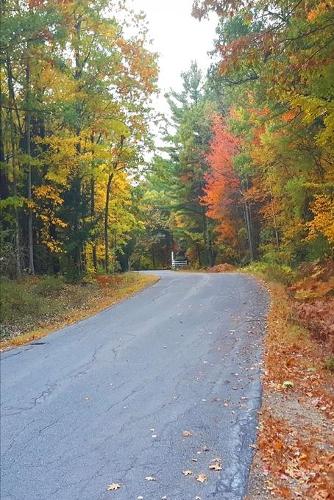 2020 Weekly Planner Country Road Rural Route 134 Pages