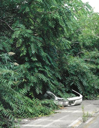 Franziska Klose: Detroit