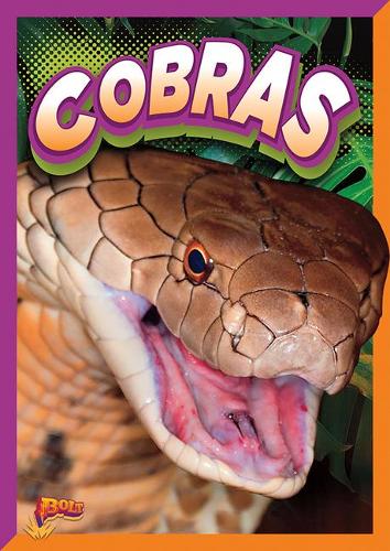 Cobras: (Slithering Snakes)