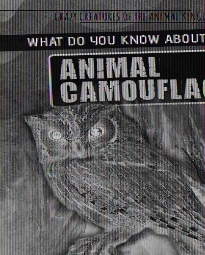 What Do You Know about Animal Camouflage?
