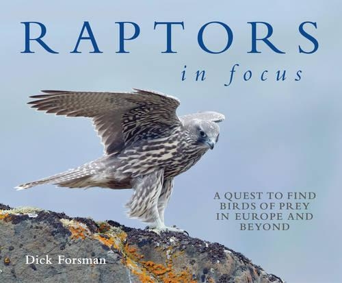 Raptors in Focus