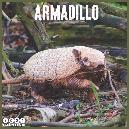 Armadillo 2021 Calendar