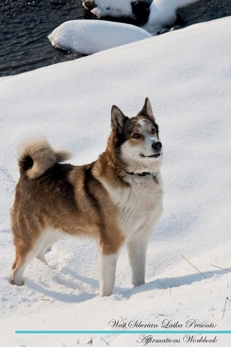 West Siberian Laika Affirmations Workbook West Siberian Laika Presents