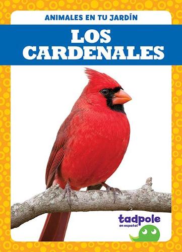 Los Cardenales (Cardinals): (Animales En Tu Jardín (Backyard Animals))