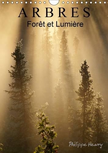 ARBRES. Forêt et Lumière 2015: Des arbres dans toute leur beauté.(Calvendo Nature)