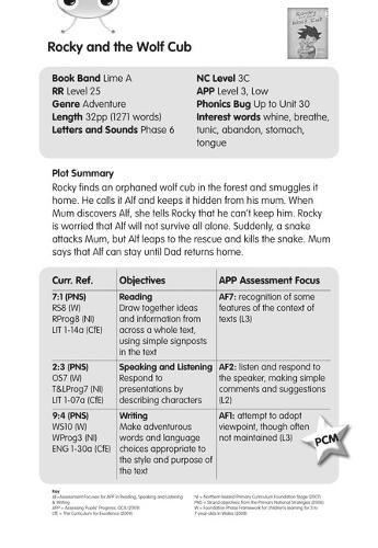BC Lime A/3C Rocky and the Wolf Cub Guided Reading Card