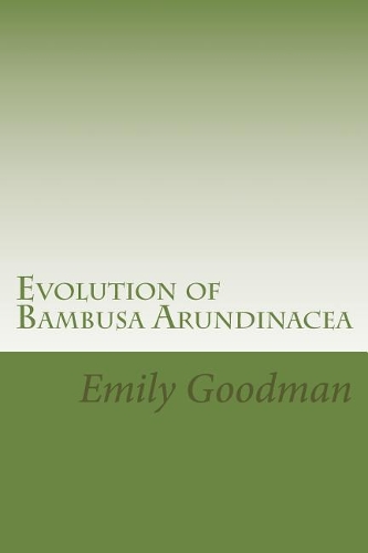 Evolution of Bambusa Arundinacea